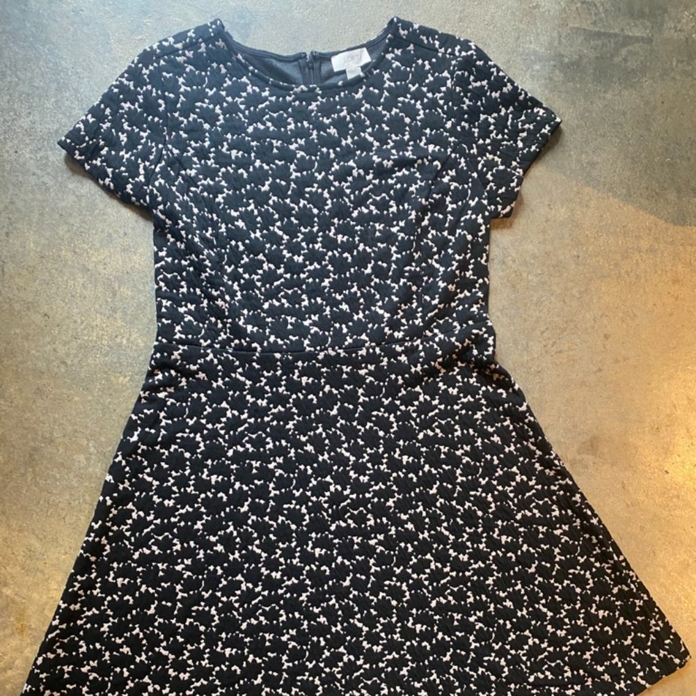 Loft Fit and Flare Dress